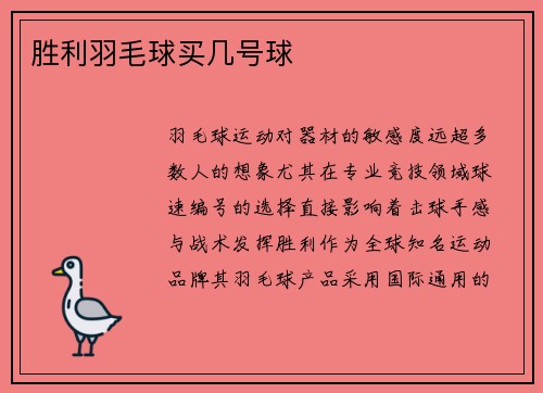 胜利羽毛球买几号球