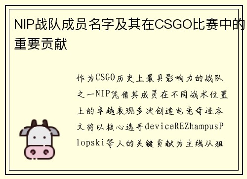 NIP战队成员名字及其在CSGO比赛中的重要贡献